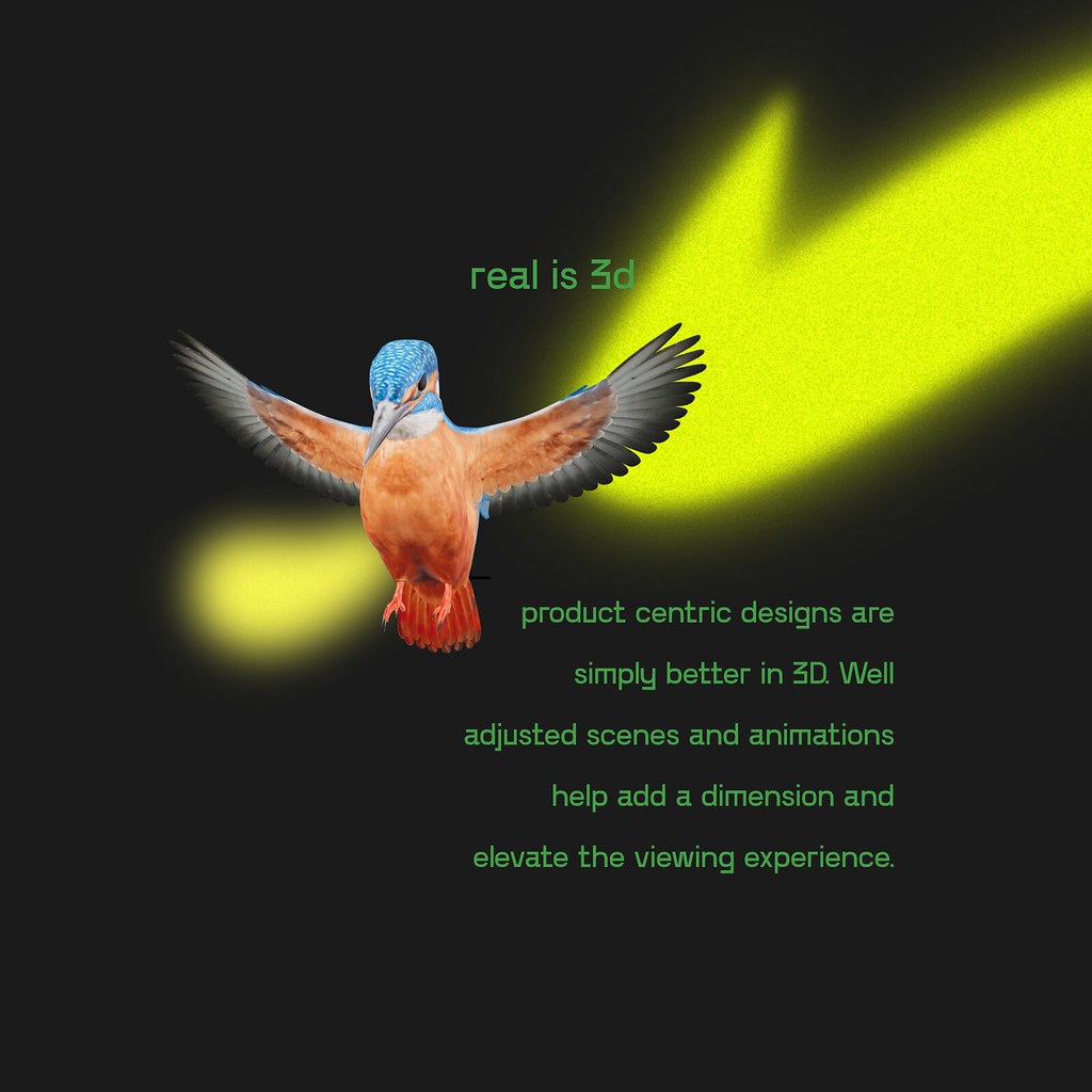A creative with 3D Bird prop and text about the use of 3D in websites